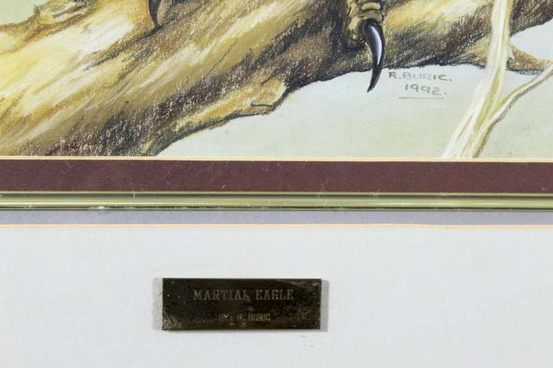 R Buric - Martial Eagle!