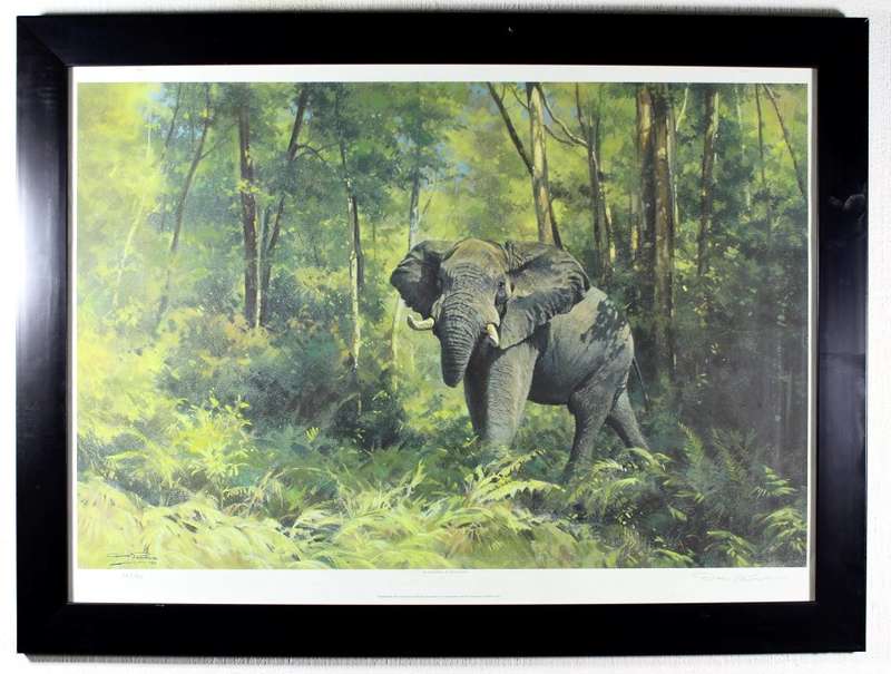 Dino Paravano - Knysna Elephant
