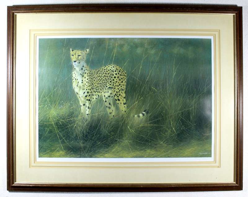 Kim Donaldson - Cheetah