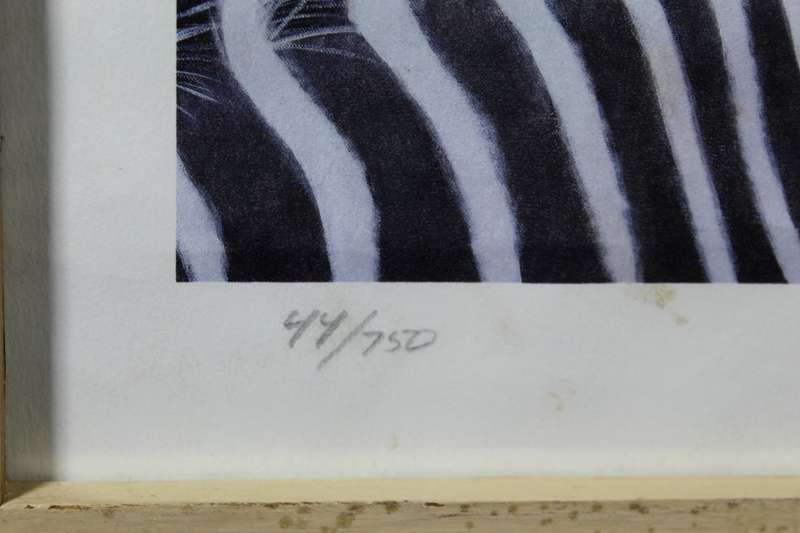 Stevan de Shetler - Zebra`s - Limited edition print