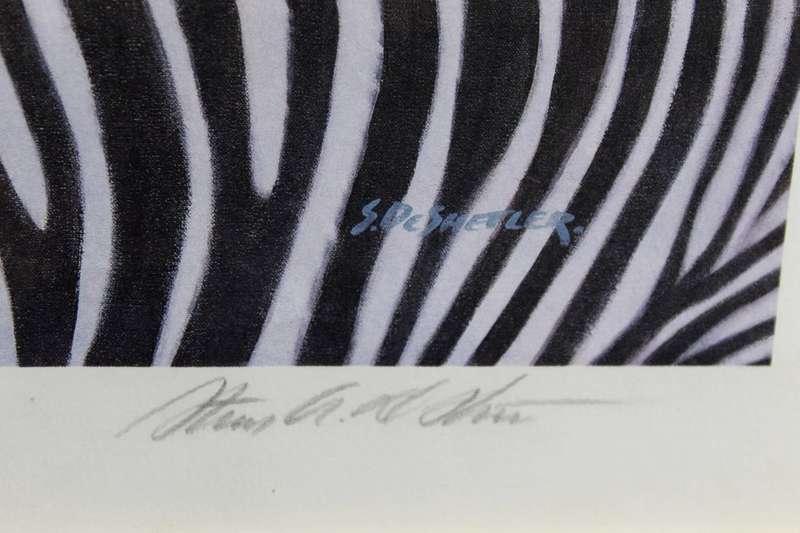 Stevan de Shetler - Zebra`s - Limited edition print