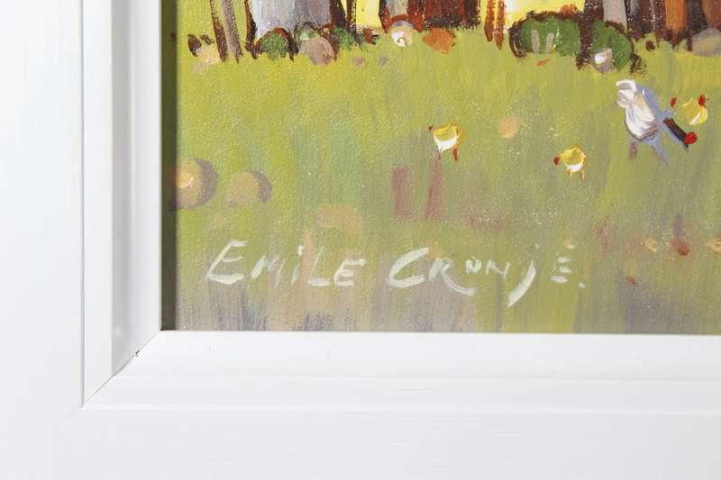 Emile Cronje - Cape Flats Houses