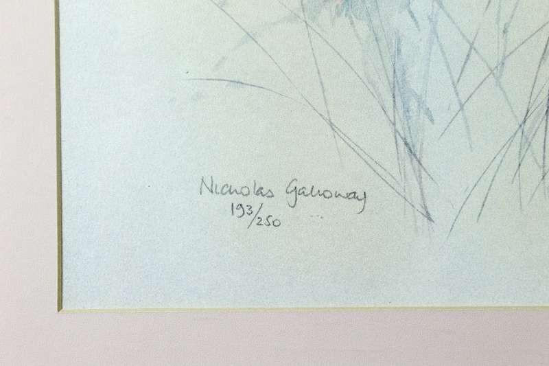 Nicholas Galloway - Cosmos Two