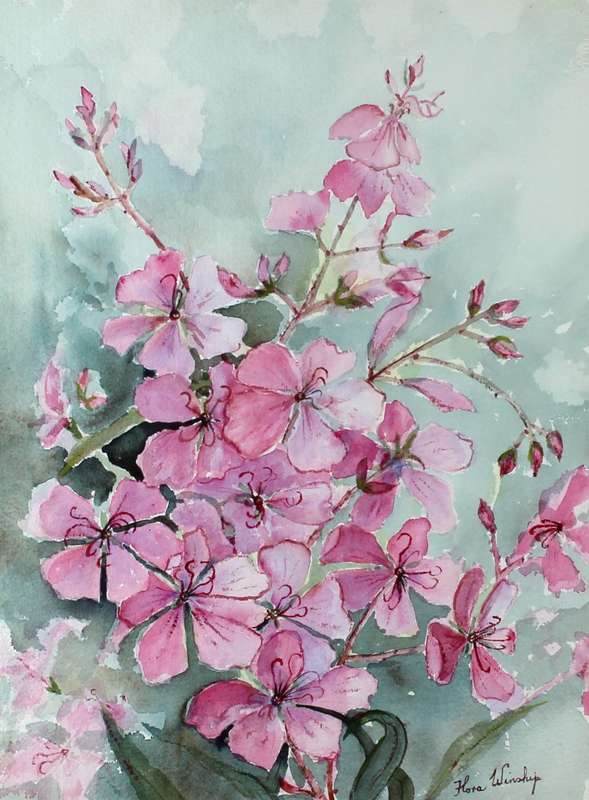Flora Winship - Pink flowers - A beautiful watercolor - Bid Now!
