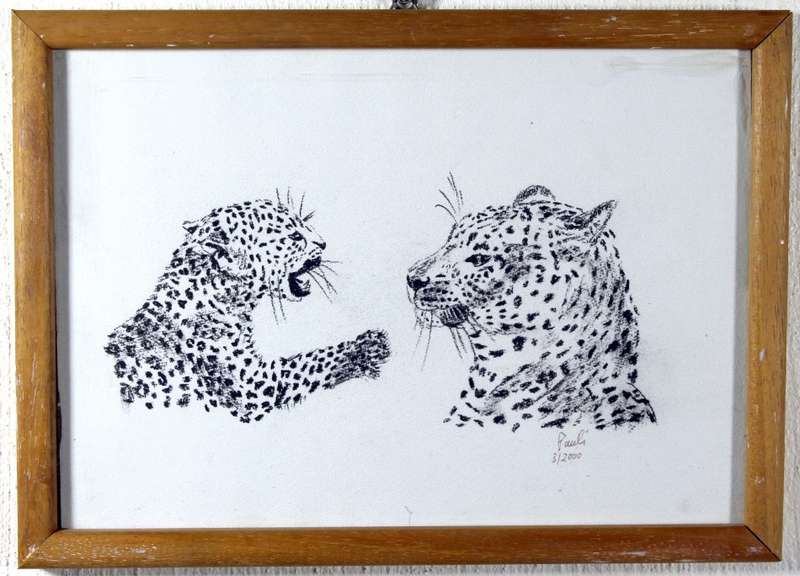 Paul`s - Baby cheetah