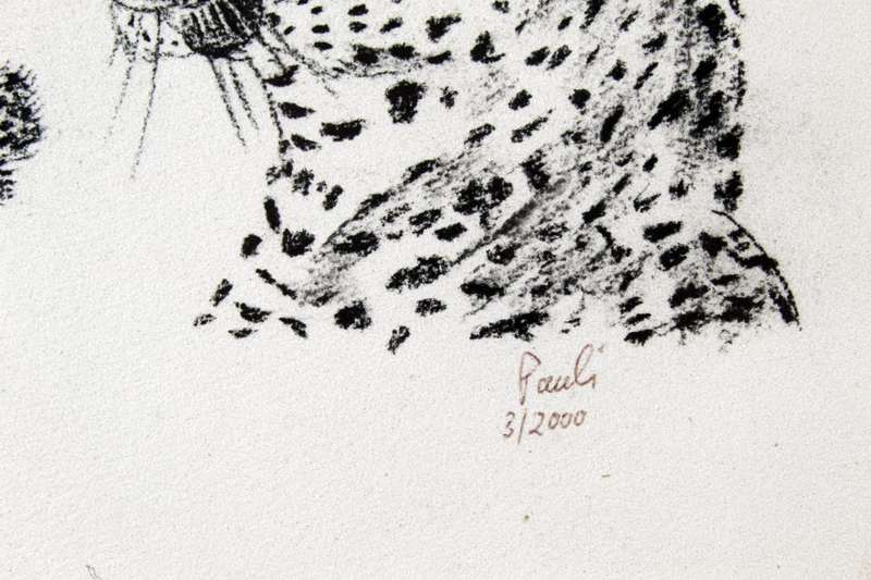 Paul`s - Baby cheetah