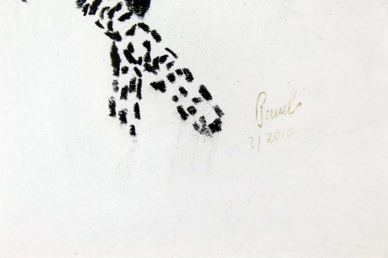 Paul`s - Cheetah walking