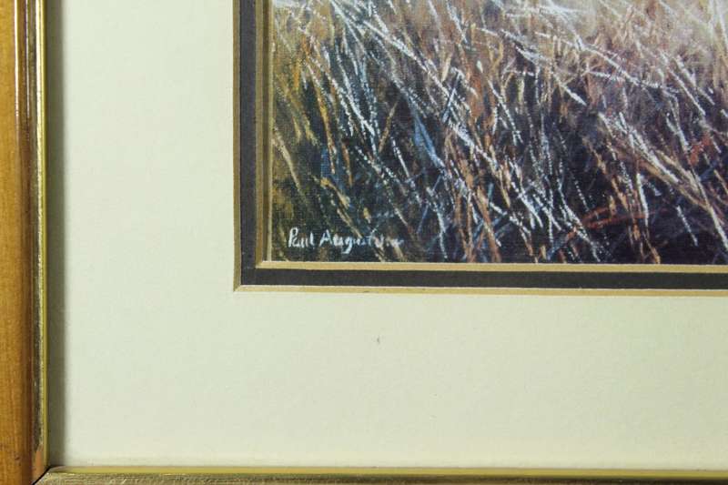 Paul Augustinus - Sable