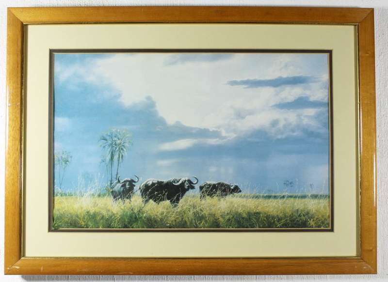 Paul Augustinus - Buffalo