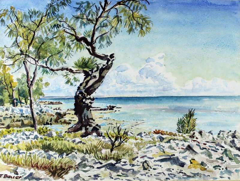 T Bauer - Seascape