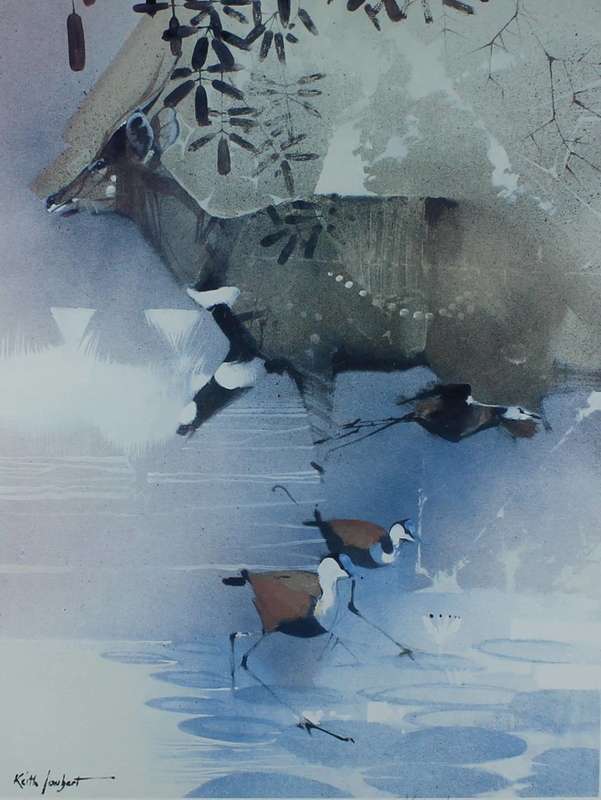 Keith Joubert - Limited edition lithoprint - African Jacana