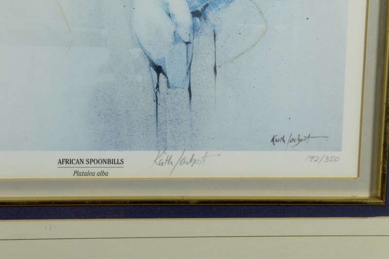 Keith Joubert - Limited edition lithoprint - African Spoonbills