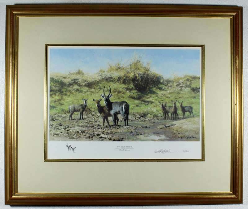 David Shepherd - Limited edition lithoprint - Waterbuck