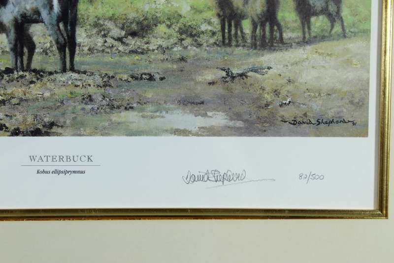 David Shepherd - Limited edition lithoprint - Waterbuck