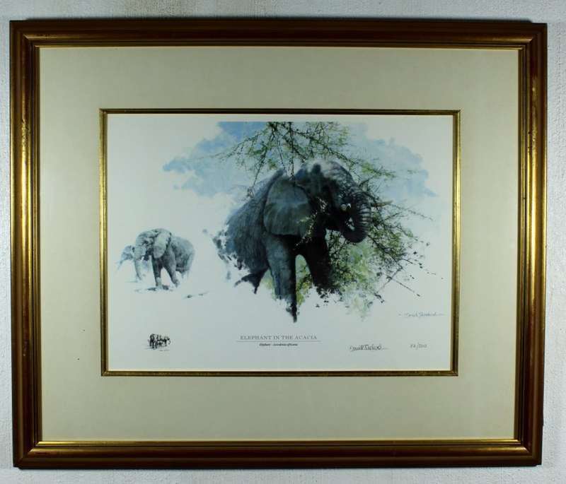 David Shepherd - Limited edition lithoprint - Elephant in the Acacia