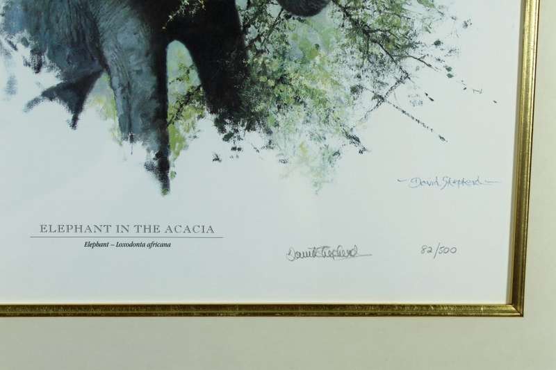 David Shepherd - Limited edition lithoprint - Elephant in the Acacia