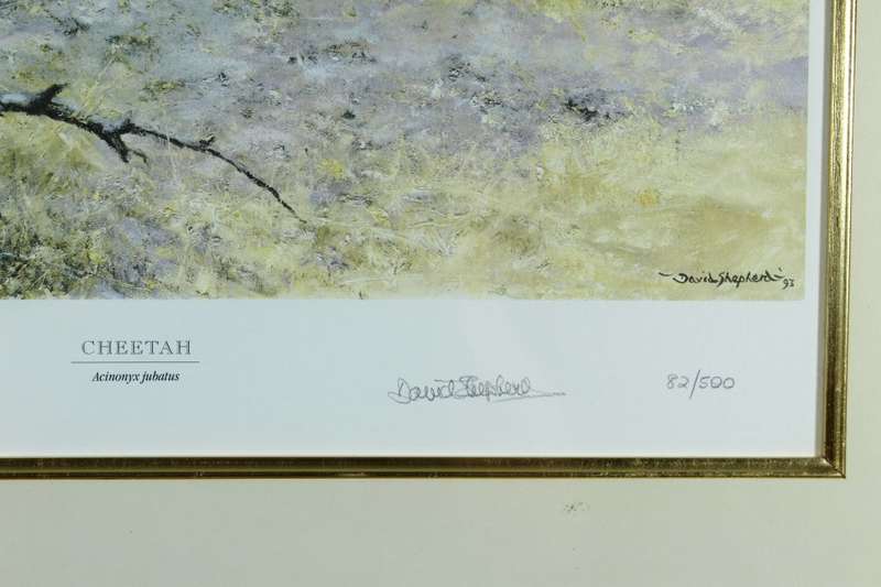 David Shepherd - Limited edition lithoprint - Cheetah