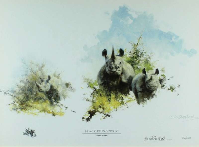 David Shepherd - Limited edition lithoprint - Black Rhinocorus
