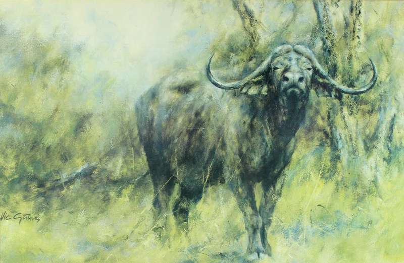 Vic Guhrs - Buffalo