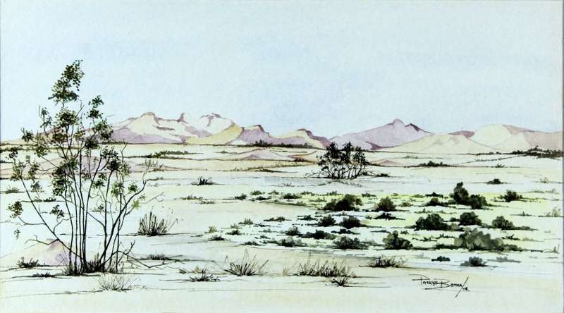 Patrys Botha - Namibia desert scene with trees