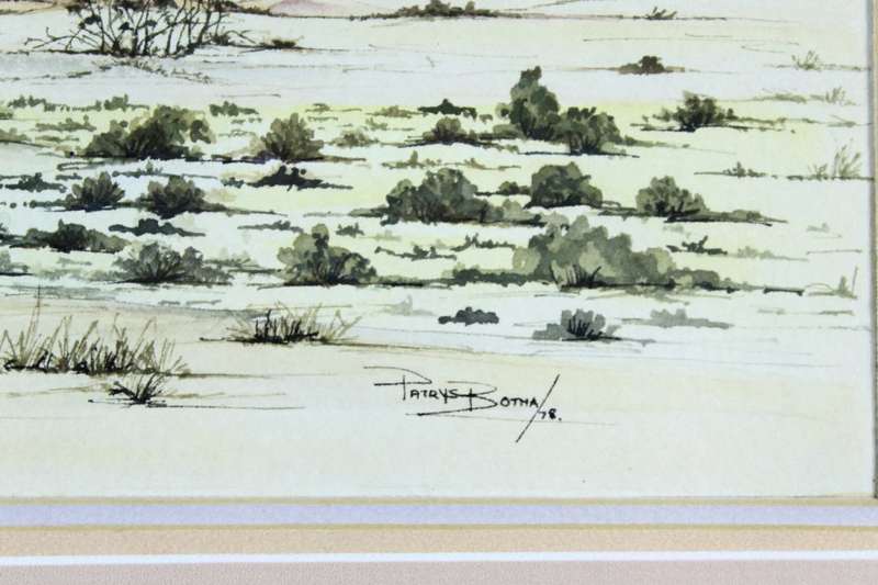Patrys Botha - Namibia desert scene with trees