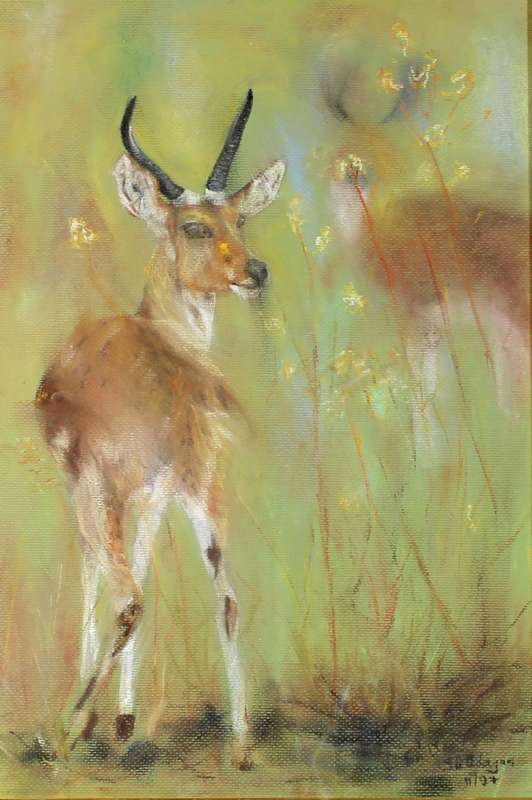 JD Adayar - Buck in the tall grass