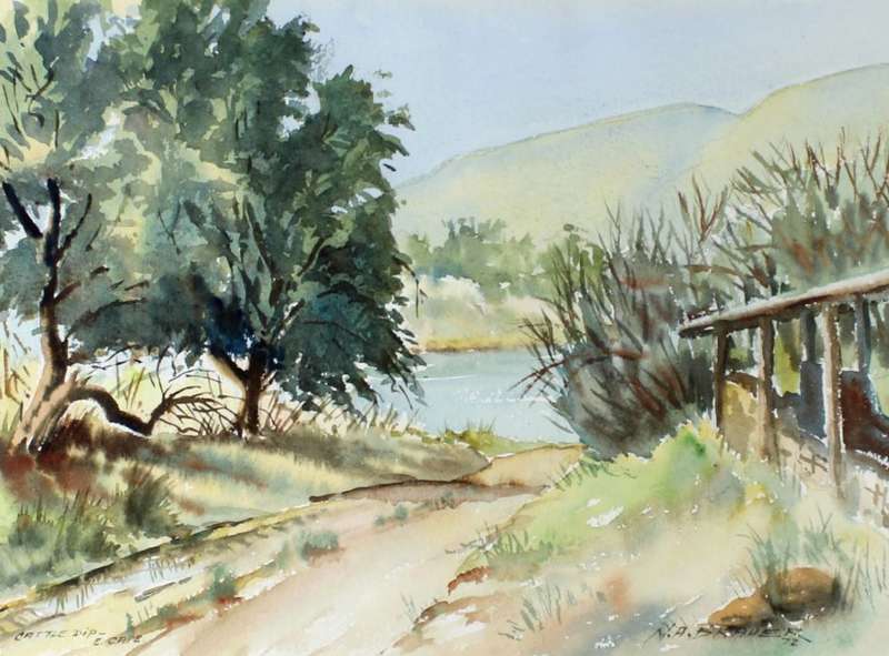 NA Brauer - Cattle dip, Eastern Cape