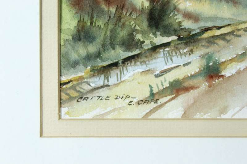 NA Brauer - Cattle dip, Eastern Cape
