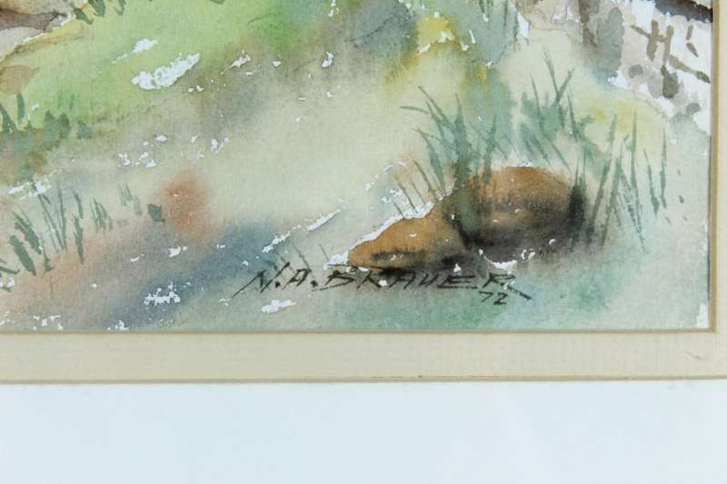 NA Brauer - Cattle dip, Eastern Cape