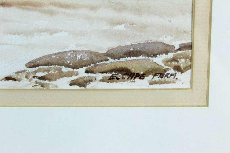 NA Brauer - Eastern Cape farm scene