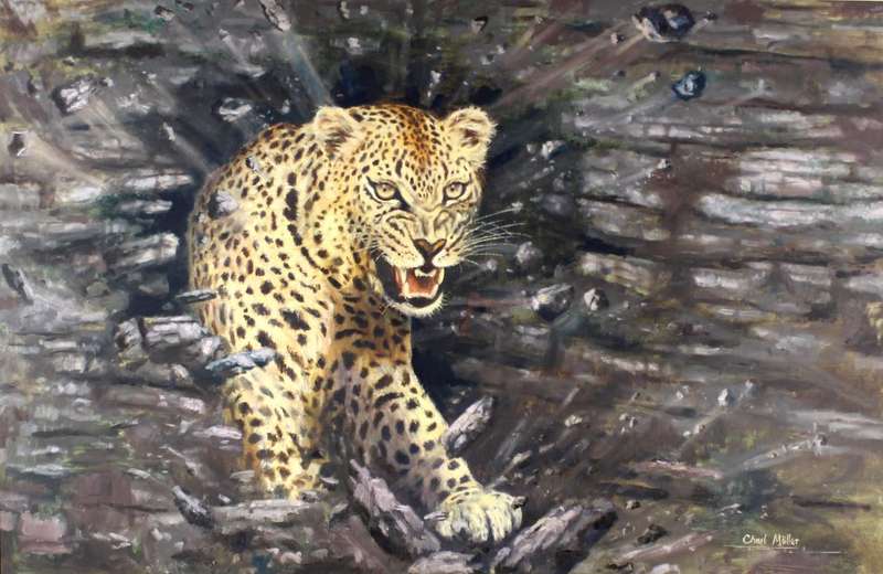 Charl Moller - Angry leopard
