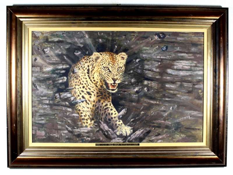 Charl Moller - Angry leopard