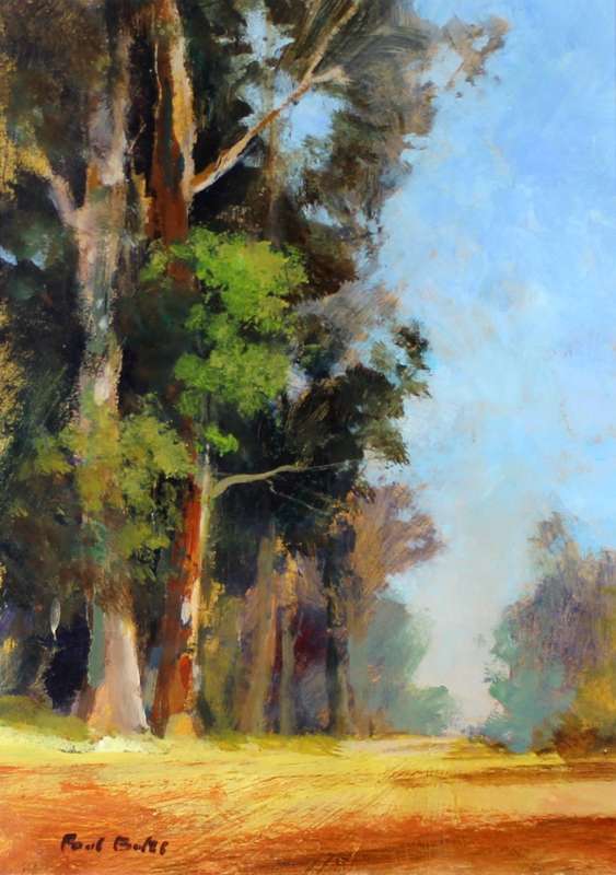 Paul Botes - Country road with trees