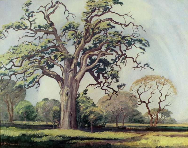 Pierneef - Large tree