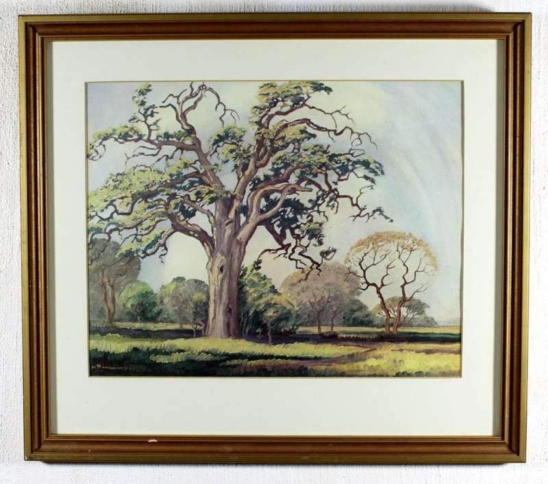 Pierneef - Large tree