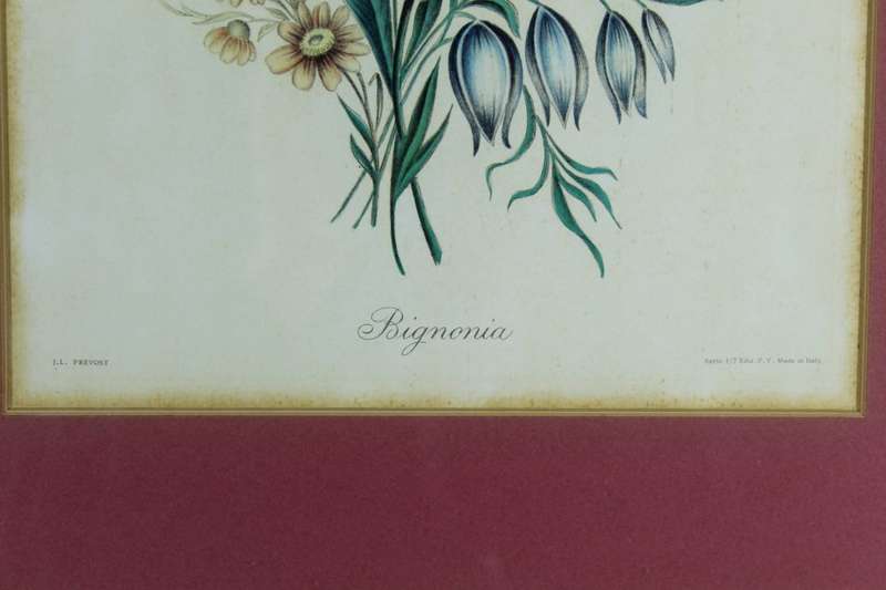 JL Prevorst - Bignonia - A lovely piece!