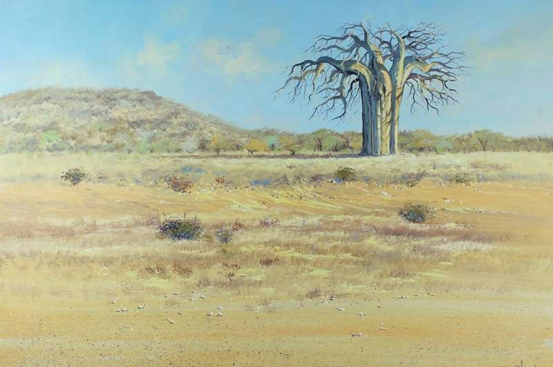 Louis Audie - Alldays - Landscape with very large Baobab tree