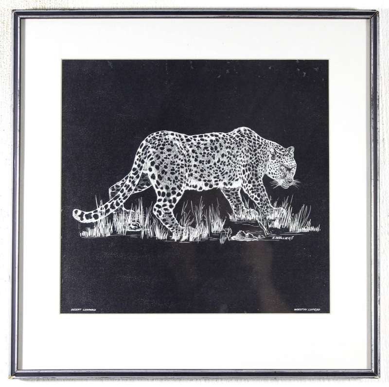 E de Villiers - Desert Leopard