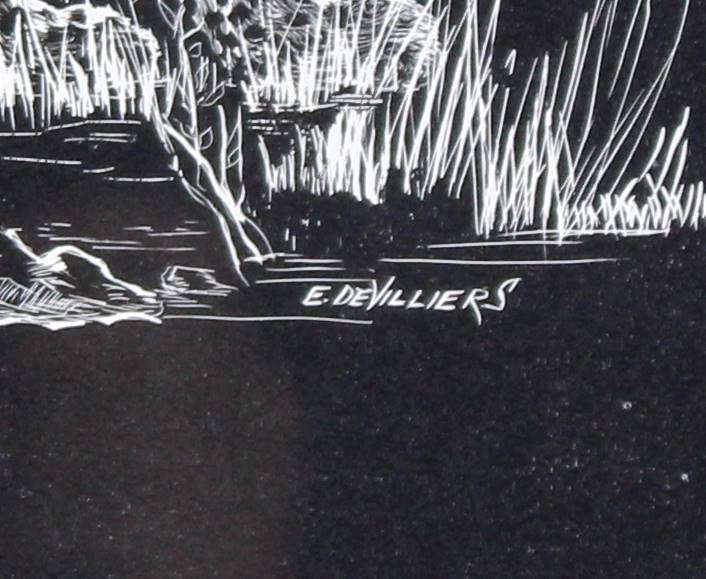 E de Villiers - Desert Leopard