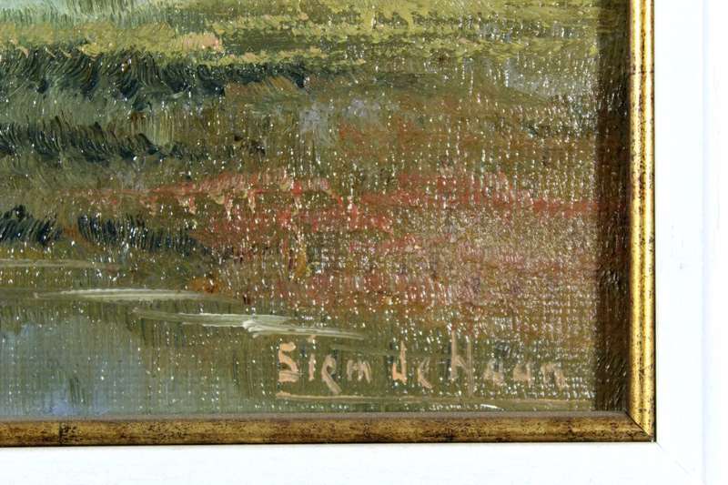 Siem de Haan - River and mountains