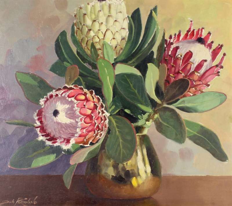 Dino Paravano - Protea's - Beautiful!! - Bid now! *Free courier!