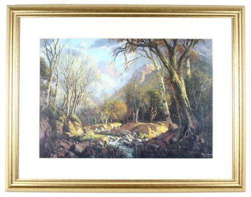 Tinus de Jongh - River in the woods