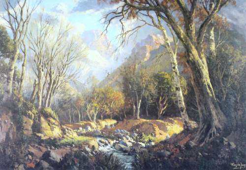 Tinus de Jongh - River in the woods