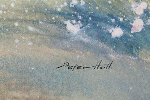 Peter Hall - Flowers in a landscape