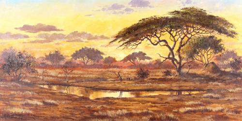 Rudolf Mocke - Sunset in the Bushveld