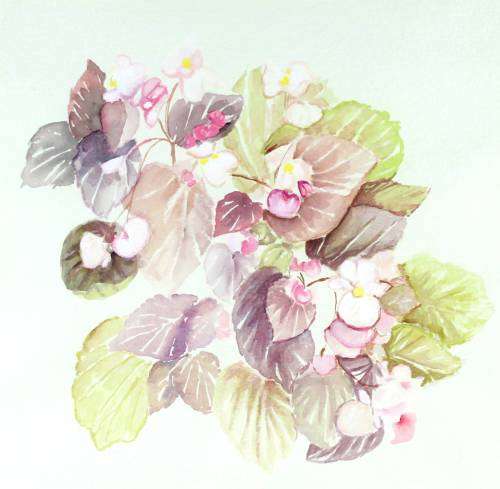 Flowers - watercolor