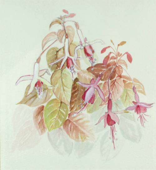 Flowers - A watercolor