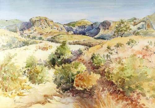 Angela Eidelman - Drakensberg