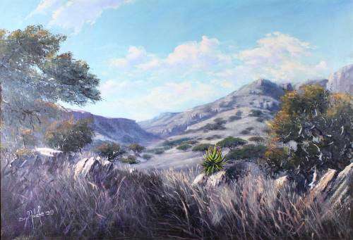 Boyi Molefe - Landscape