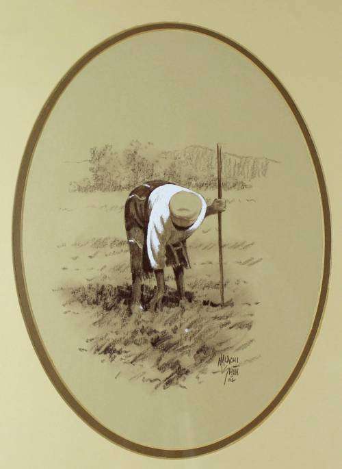 Malachi Smith - Woman picking in the field